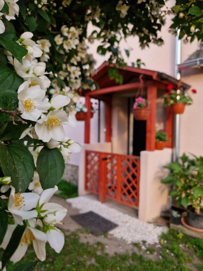 Apartment Strzyzowiec 80 Czernica (Jelenia Gora)
