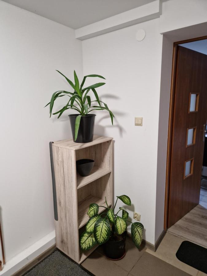 Strzyzowiec 80 Apartment Czernica (Jelenia Gora)