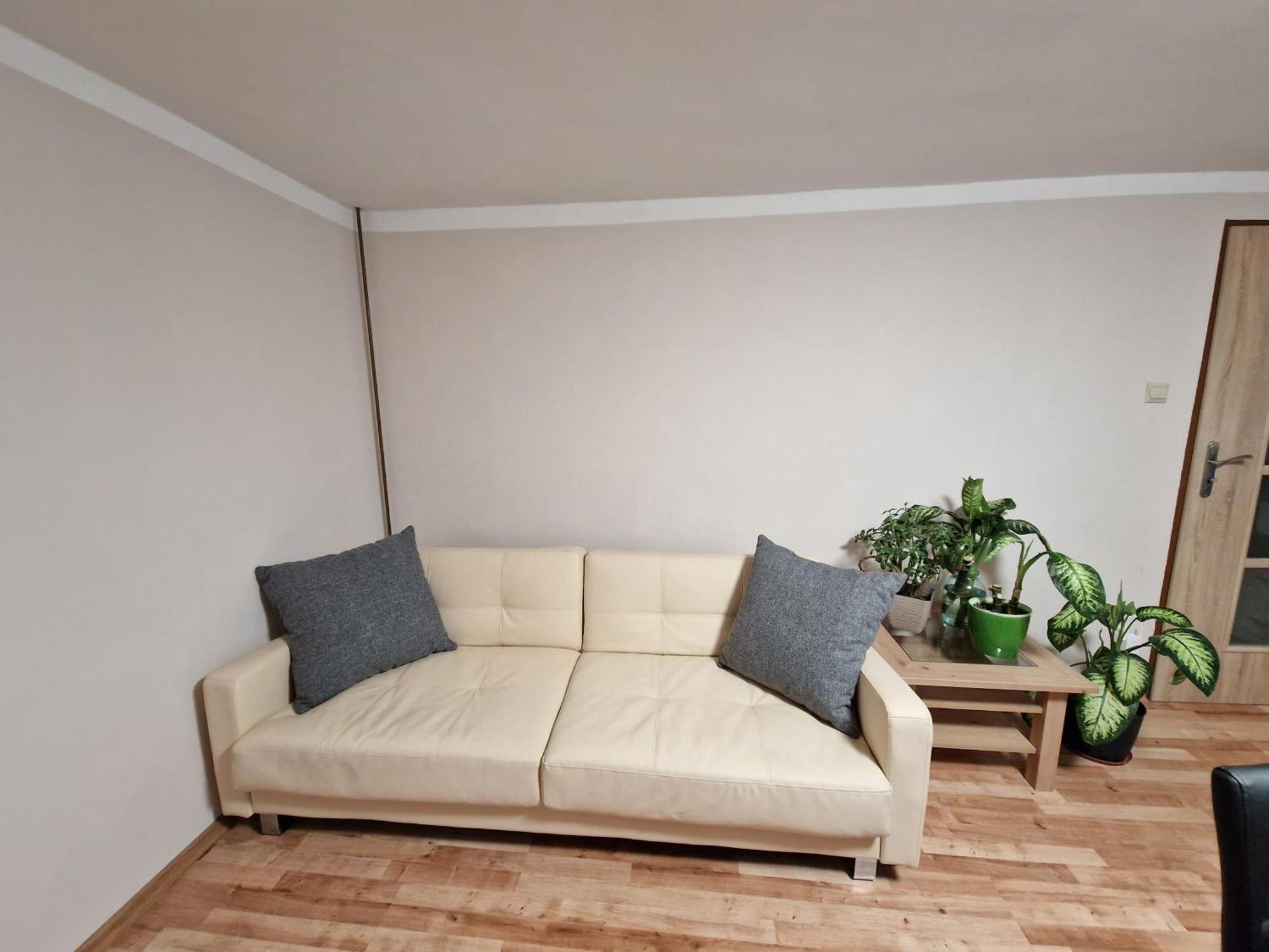 Strzyzowiec 80 *