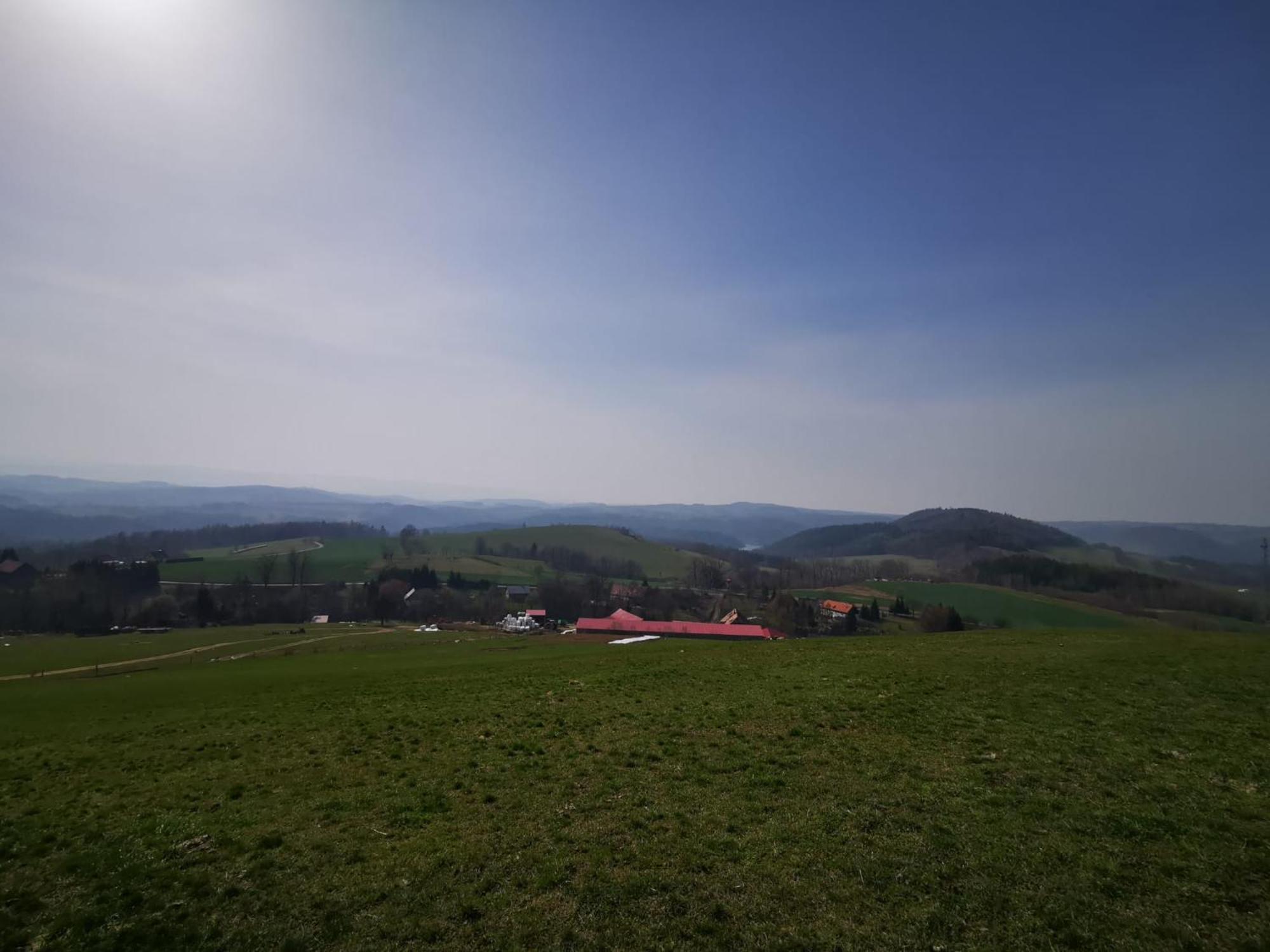 Strzyzowiec 80